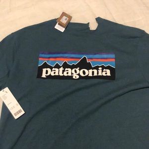 Patagonia teal shirt size large